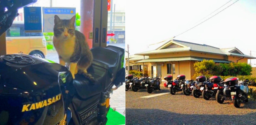 旅館おおなみ | ご案内 | 伊勢志摩、あのりふぐ 天然トラフグ　あわび 伊勢エビ 宝彩エビ