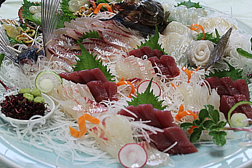 新鮮海の幸　活造り