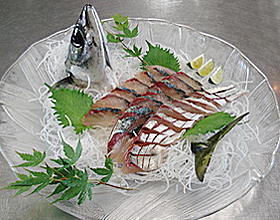 さば活造り